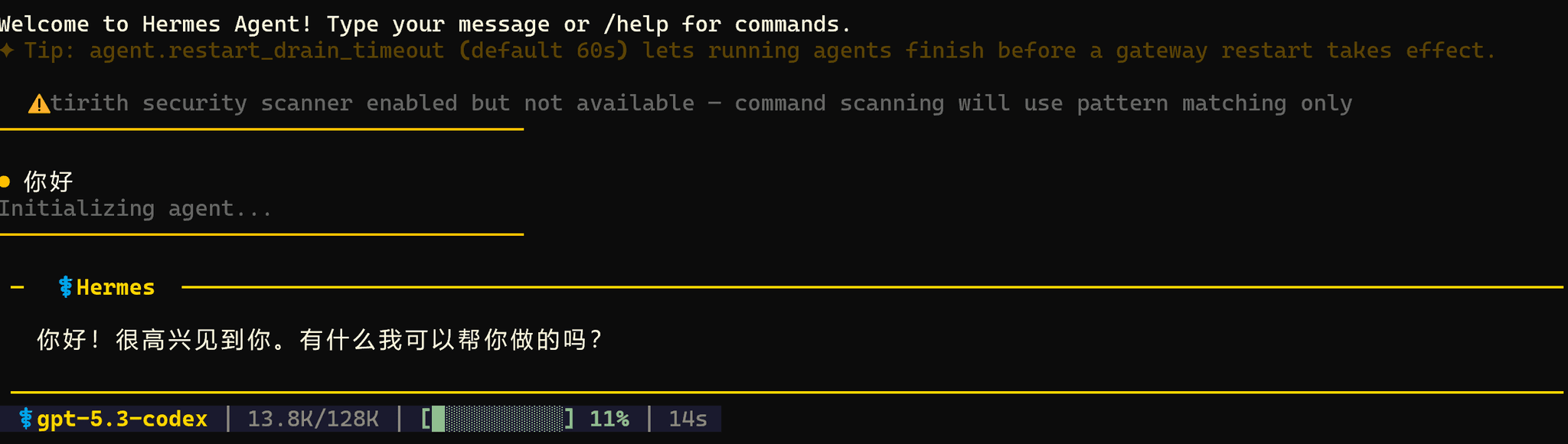 Codex 配置完成后的 Hermes 界面