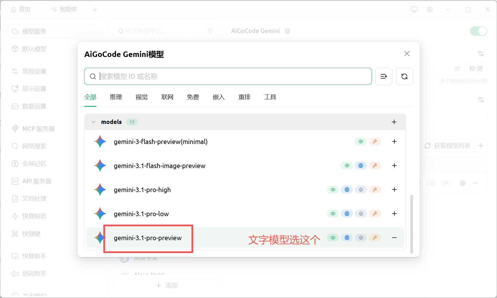 填写 Gemini 服务商信息