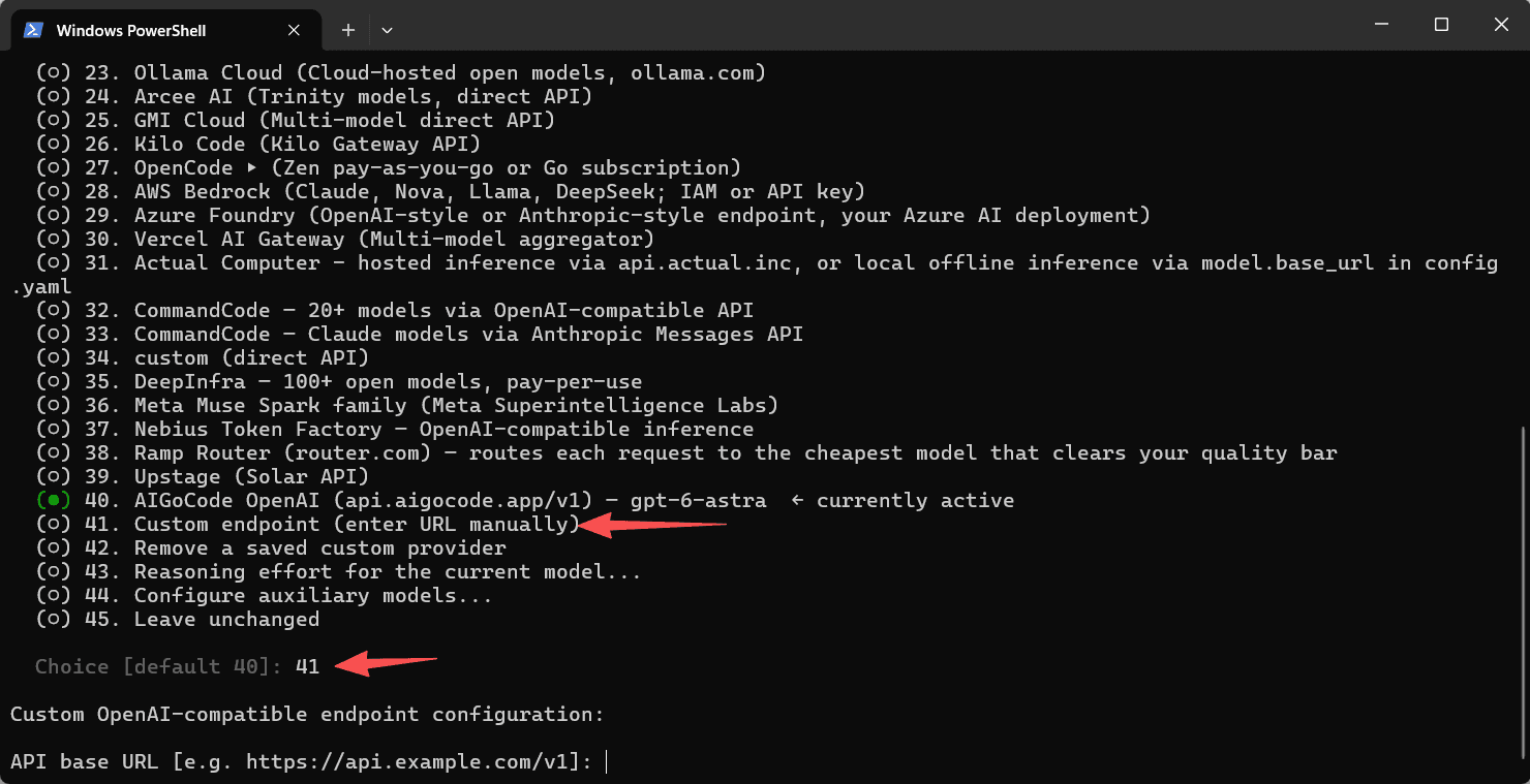 选择 Custom endpoint,配置 Claude 接入